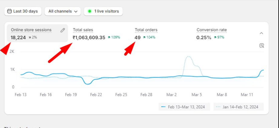 Shopify Ads Result